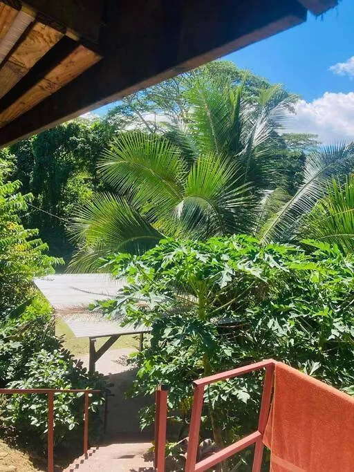 Appartement Ohana Location Ravissant Appart Spacieux Parking Gratuit A Uturoa Polynésie française