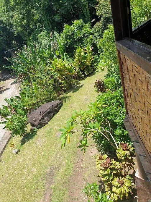 Appartement Ohana Location Ravissant Appart Spacieux Parking Gratuit A Uturoa